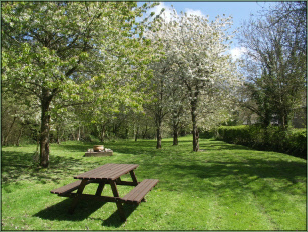 2 acre BBQ area and garden